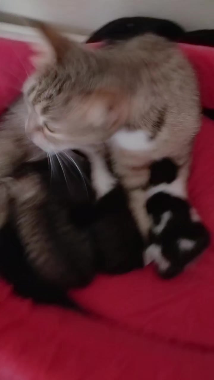 @Mavi Tektaş
