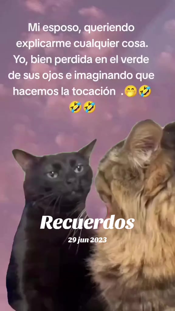 @ElizabethOsunaperez_0903