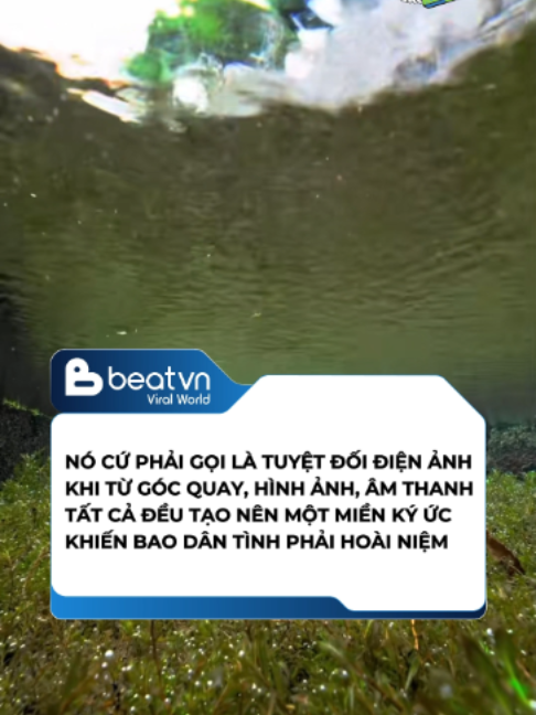 @Beatvn Viral World