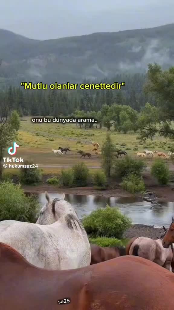 @orxan nagiyev