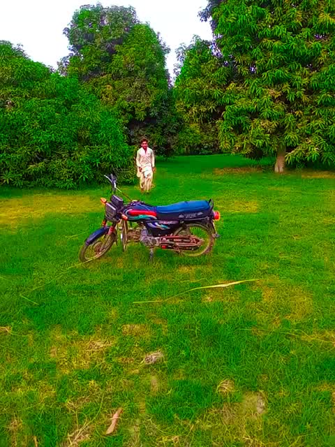 @Teerath Parmar Jani I,M King👑