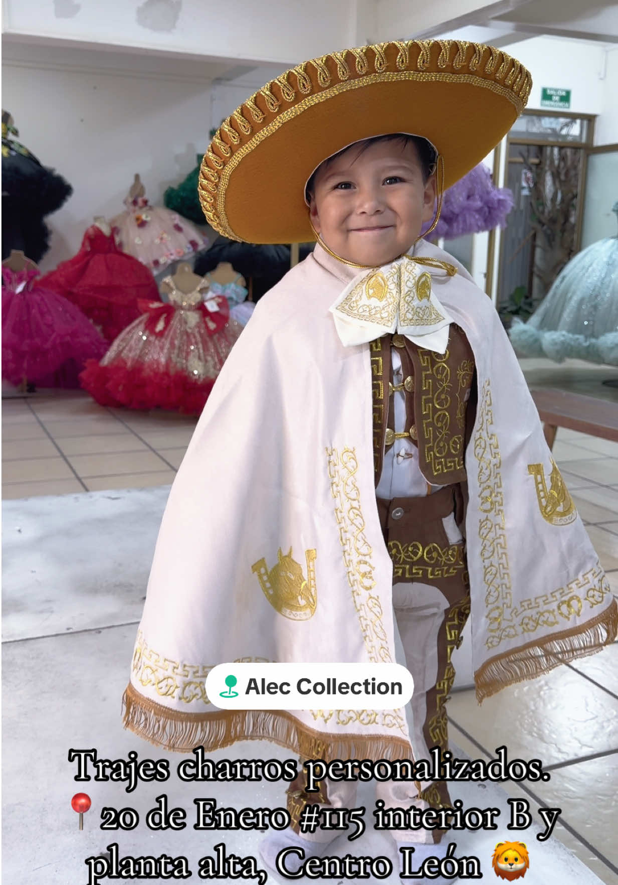 @Alec Collection
