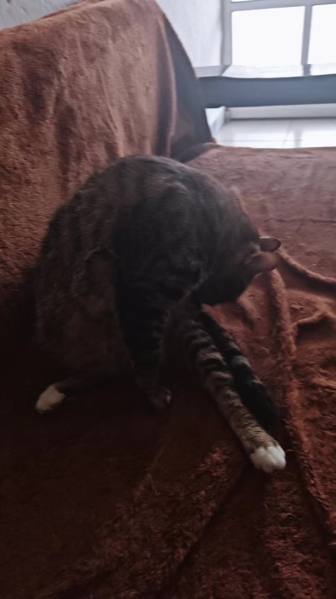 @LeztI 😻😺😽💕