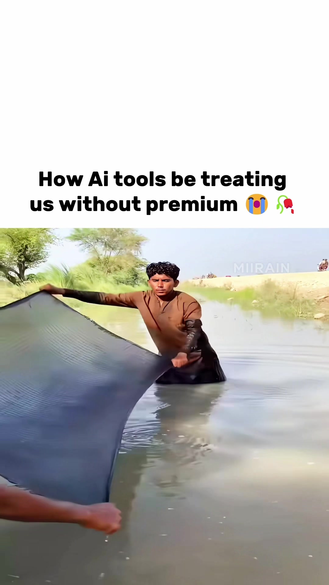 @MiiRain