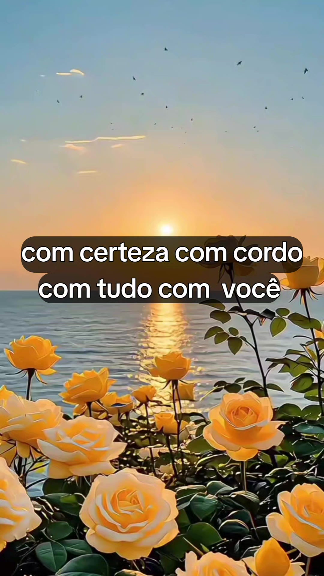 @Nadir Vieira Borazo ❤️🌹