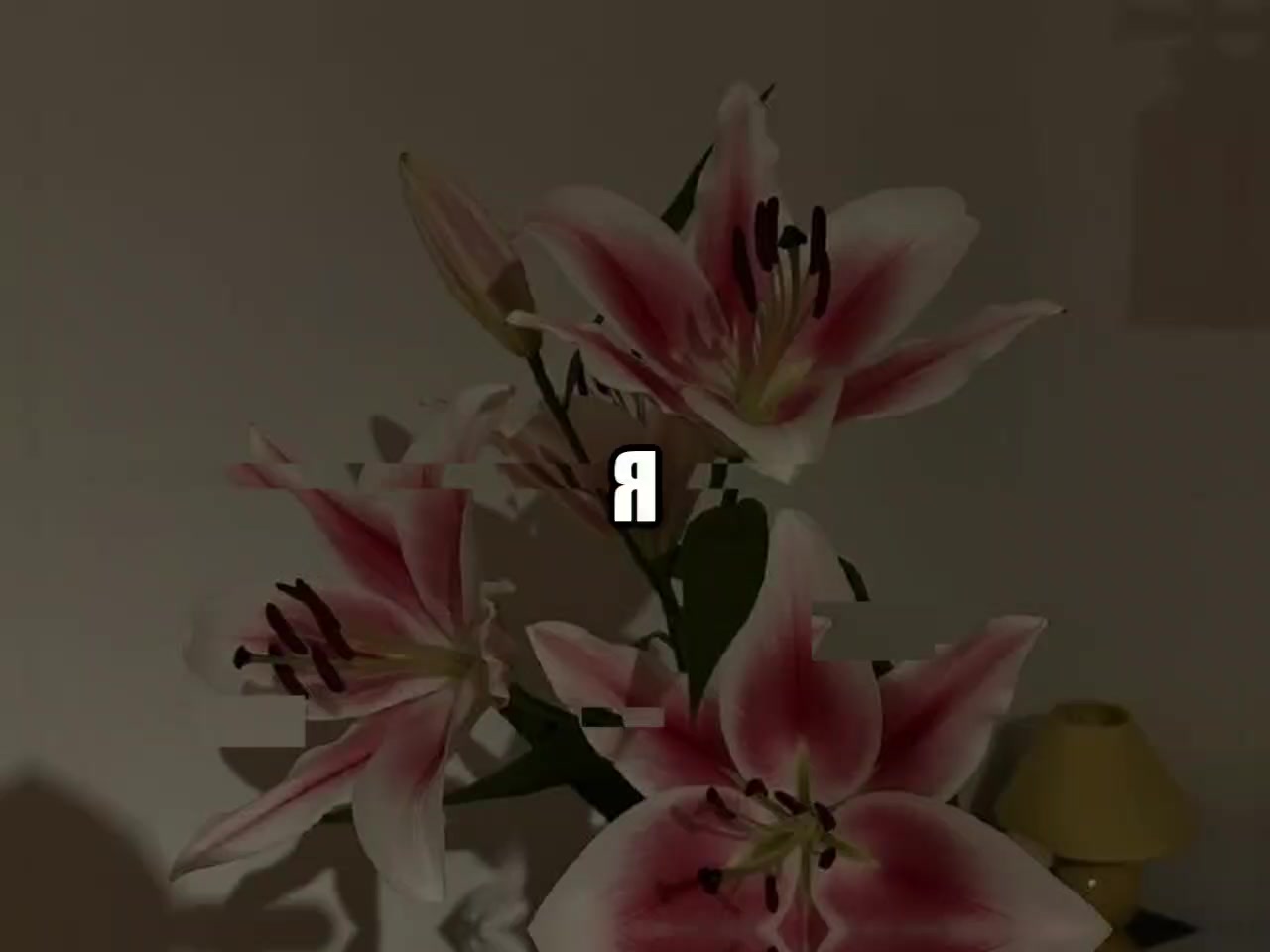 @музыка для липсингов