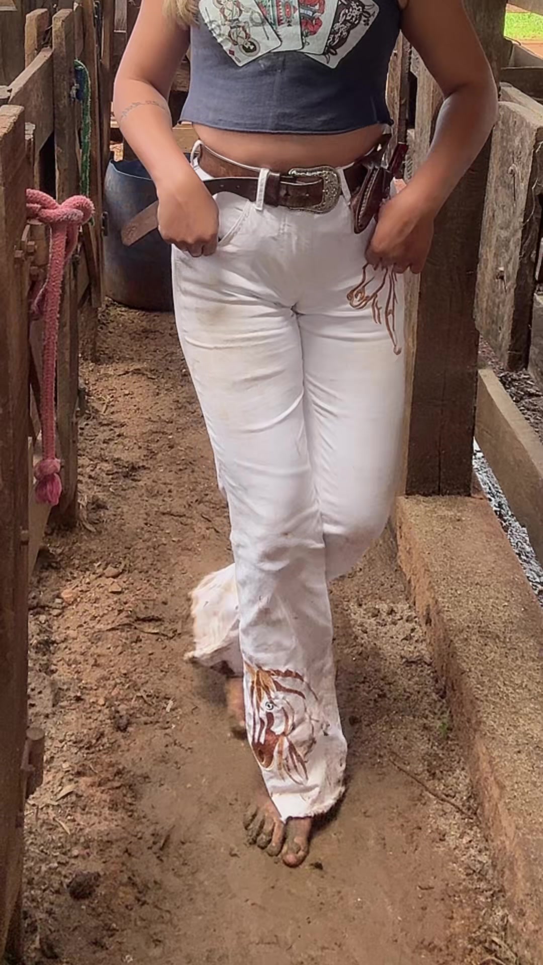 @Fazendeira