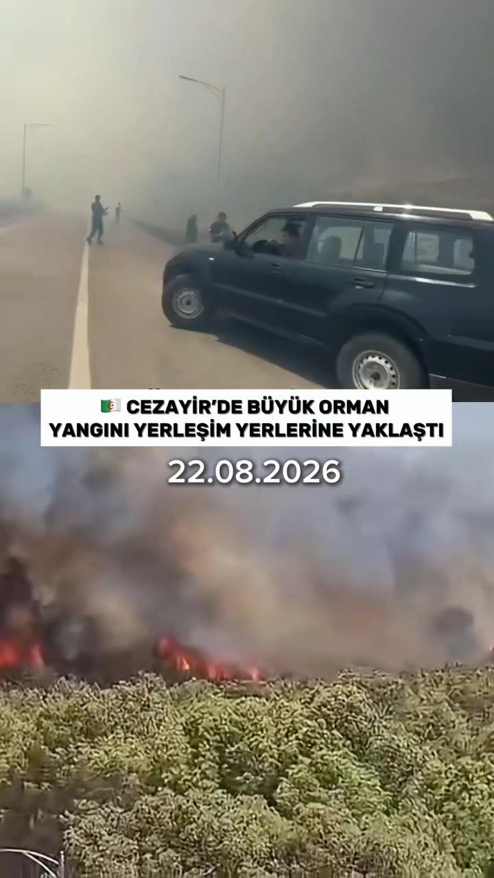 @yaratıcı_toplum_official
