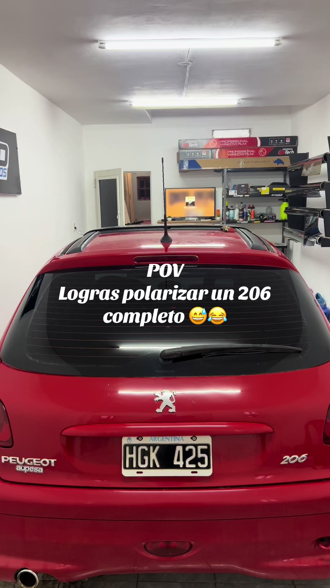 @Polarizados_cuquejo💯