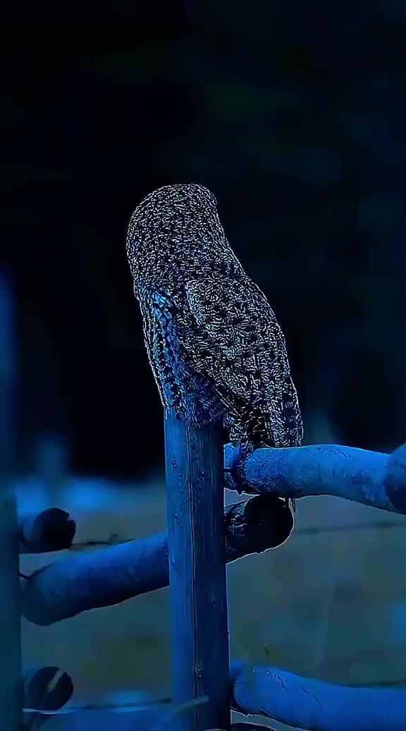 @🅣̣̣̣ 🅤̣̣̣ 🅜̣̣ 🅚̣̣ 🅞̣̣ 🅝̣