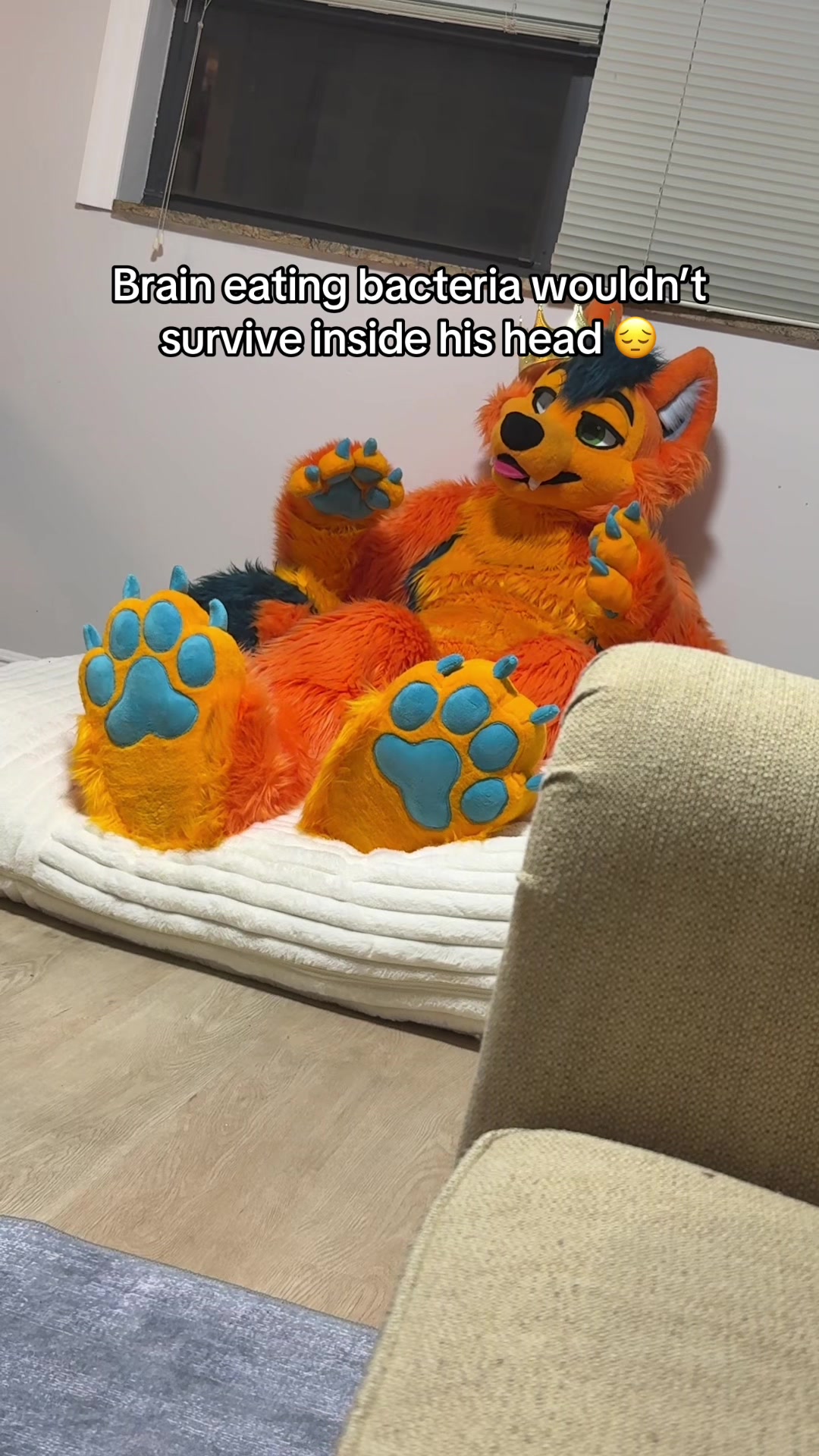 @SumDingoFL
