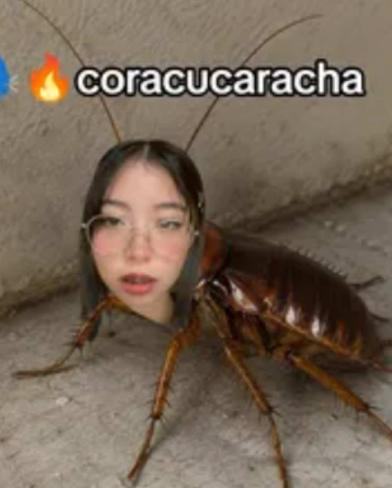 @💕👻Coralyn.Lynx👻💕