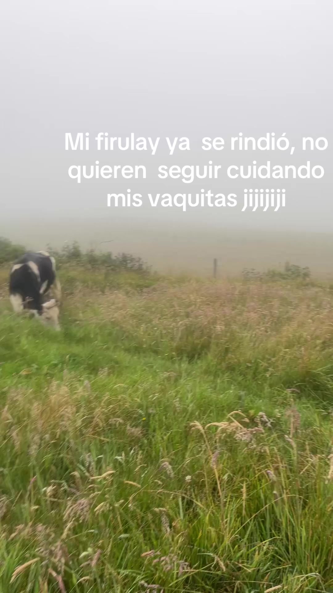 @M I Q
