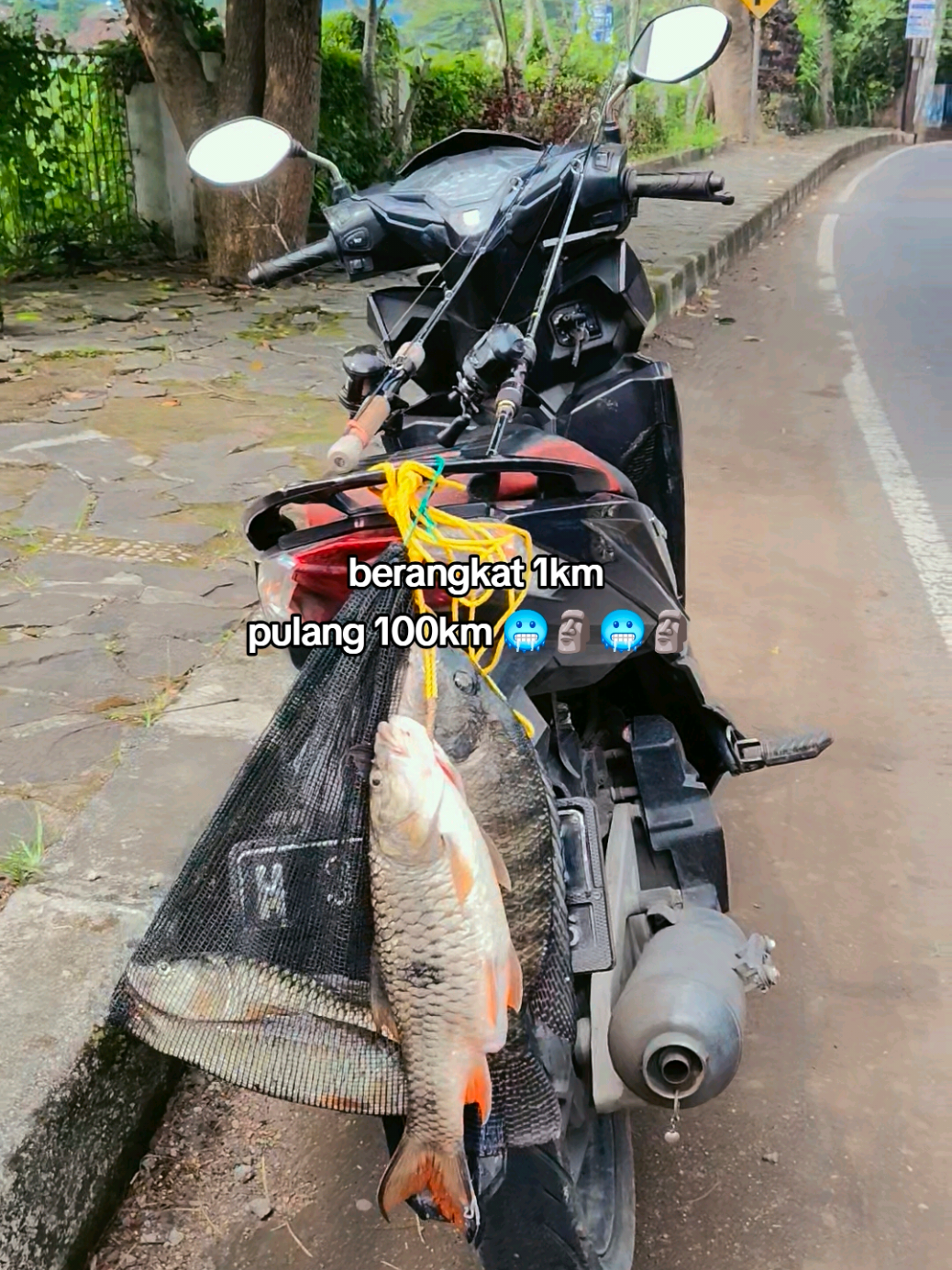 @gustavxfishing