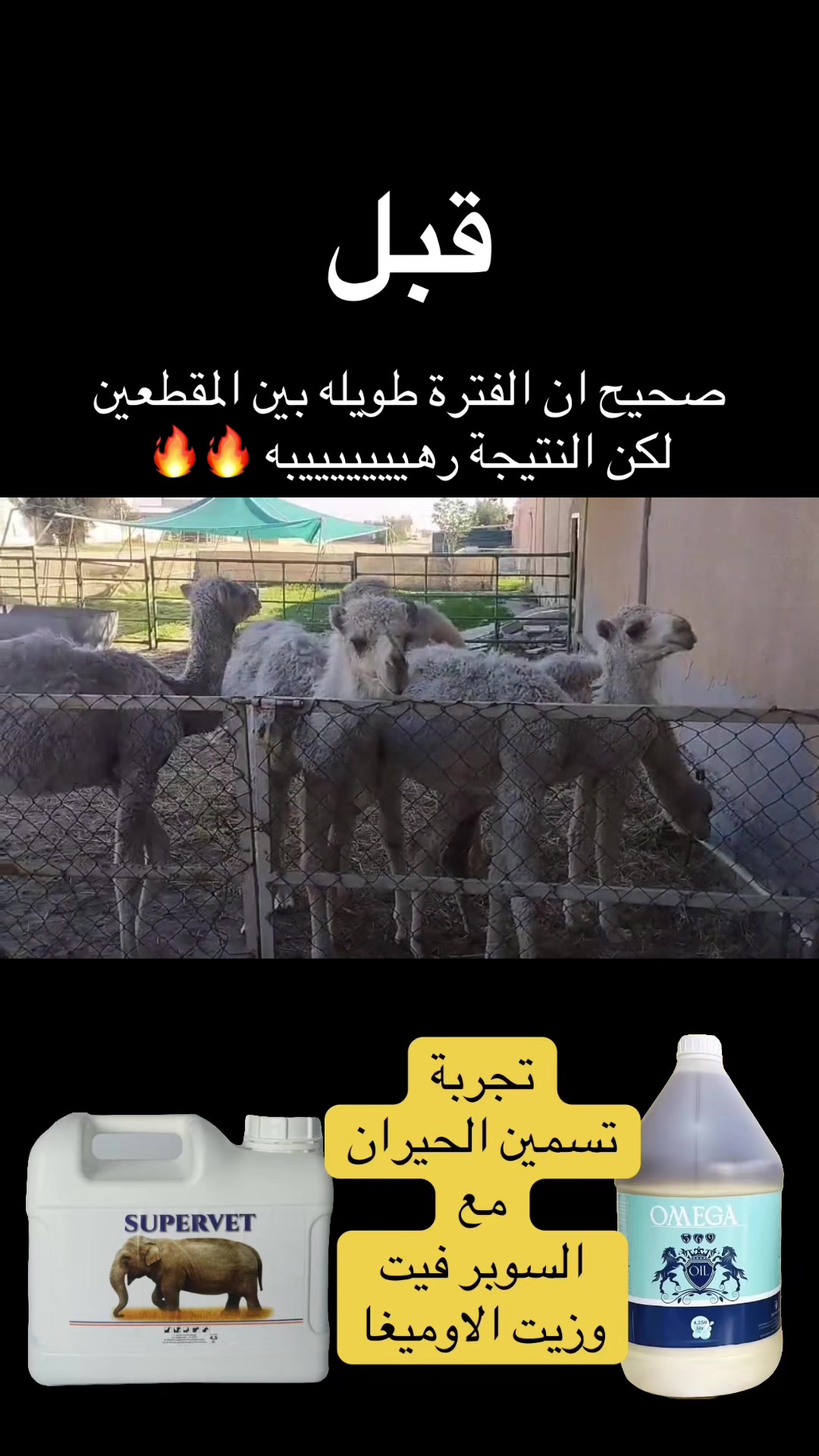 @mohamed_ksa0