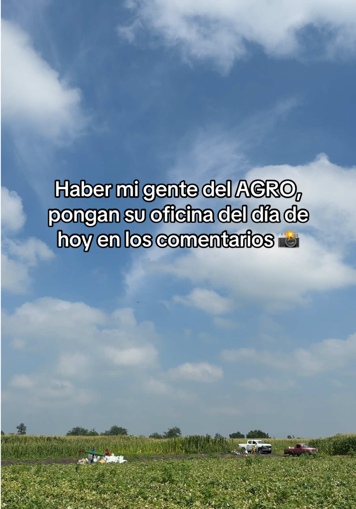 @Sifatec