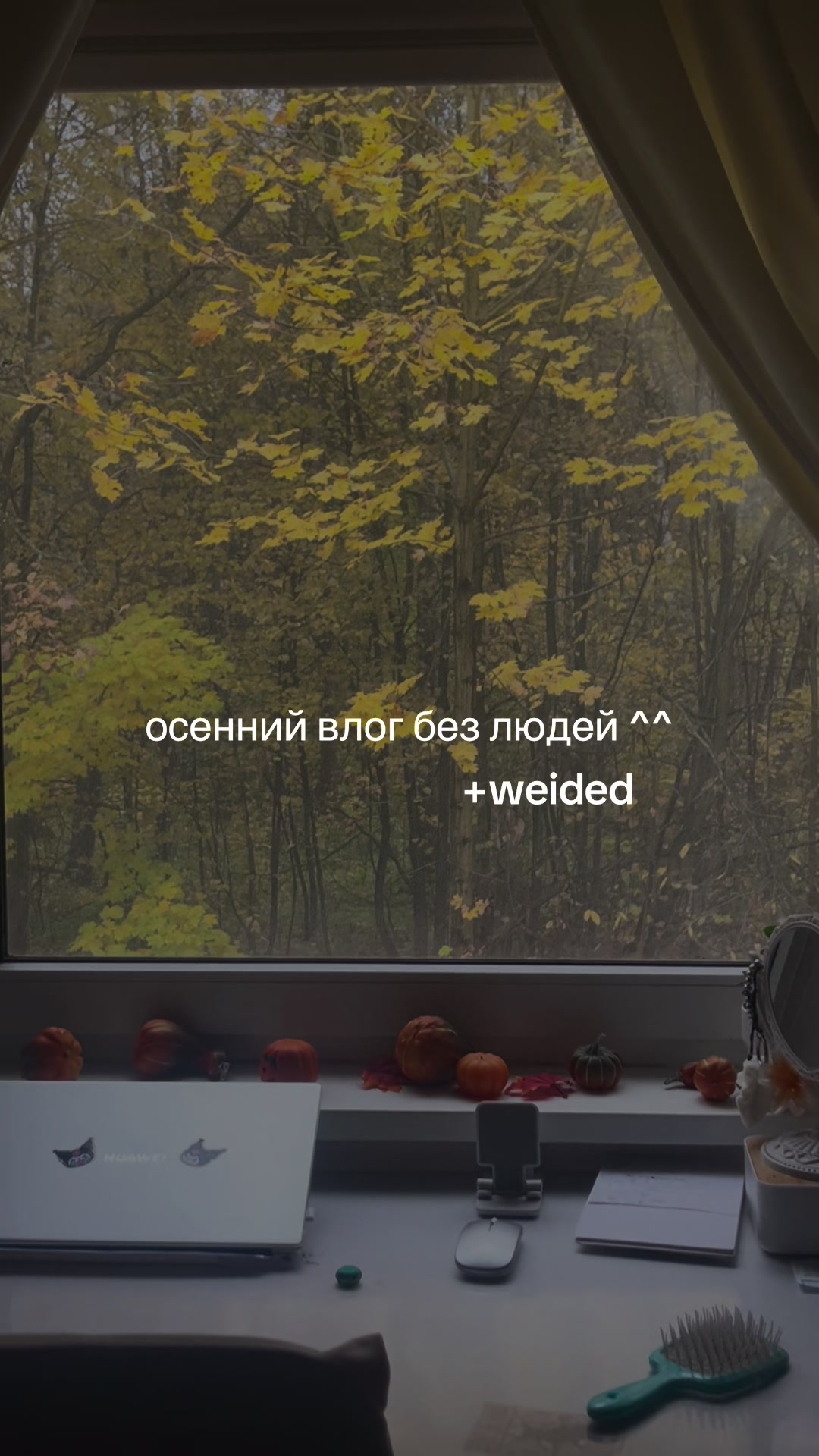 @тгк - shpulya