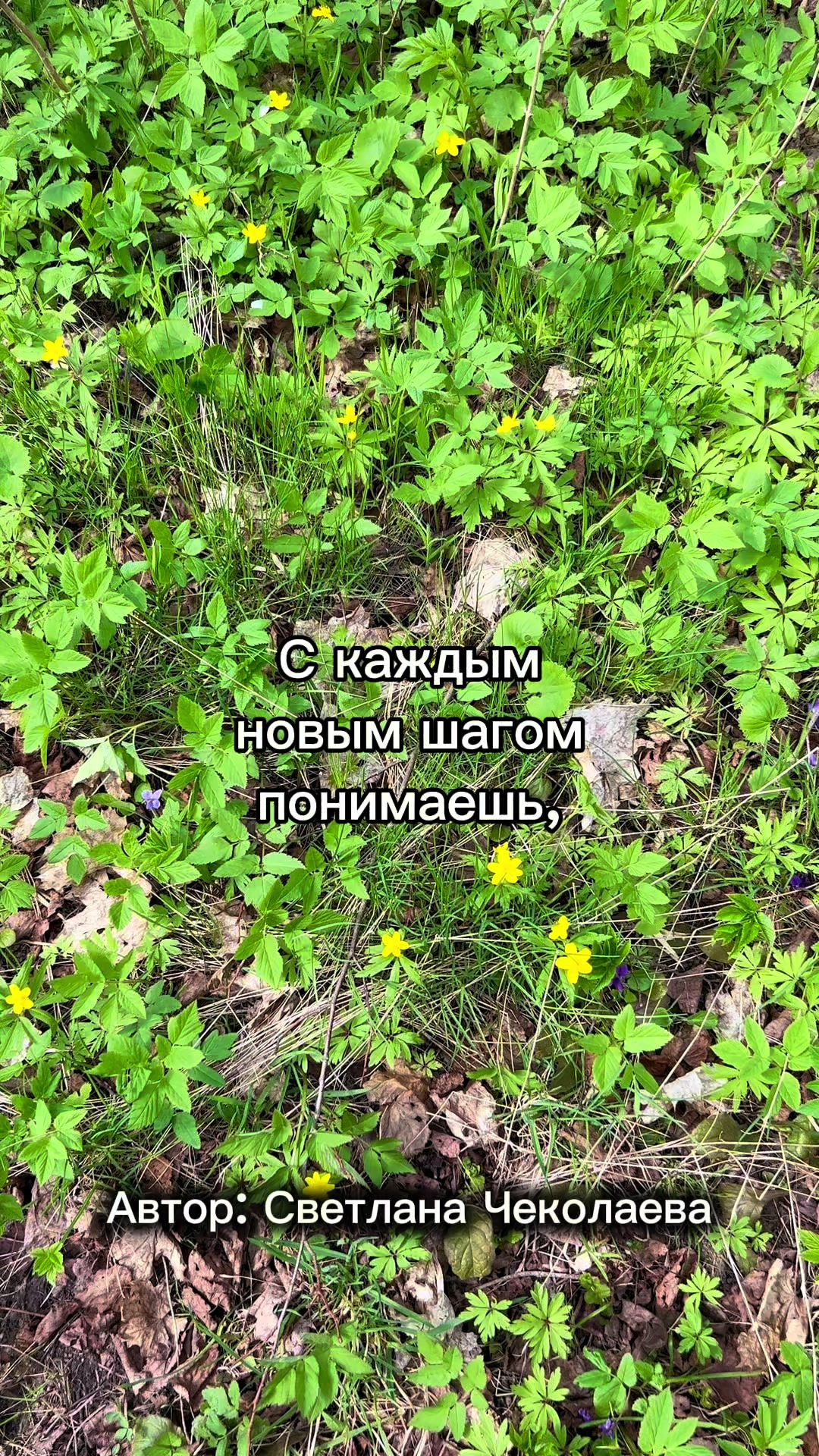 @EKstikh