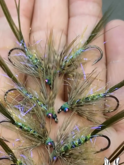 @veevusFishing
