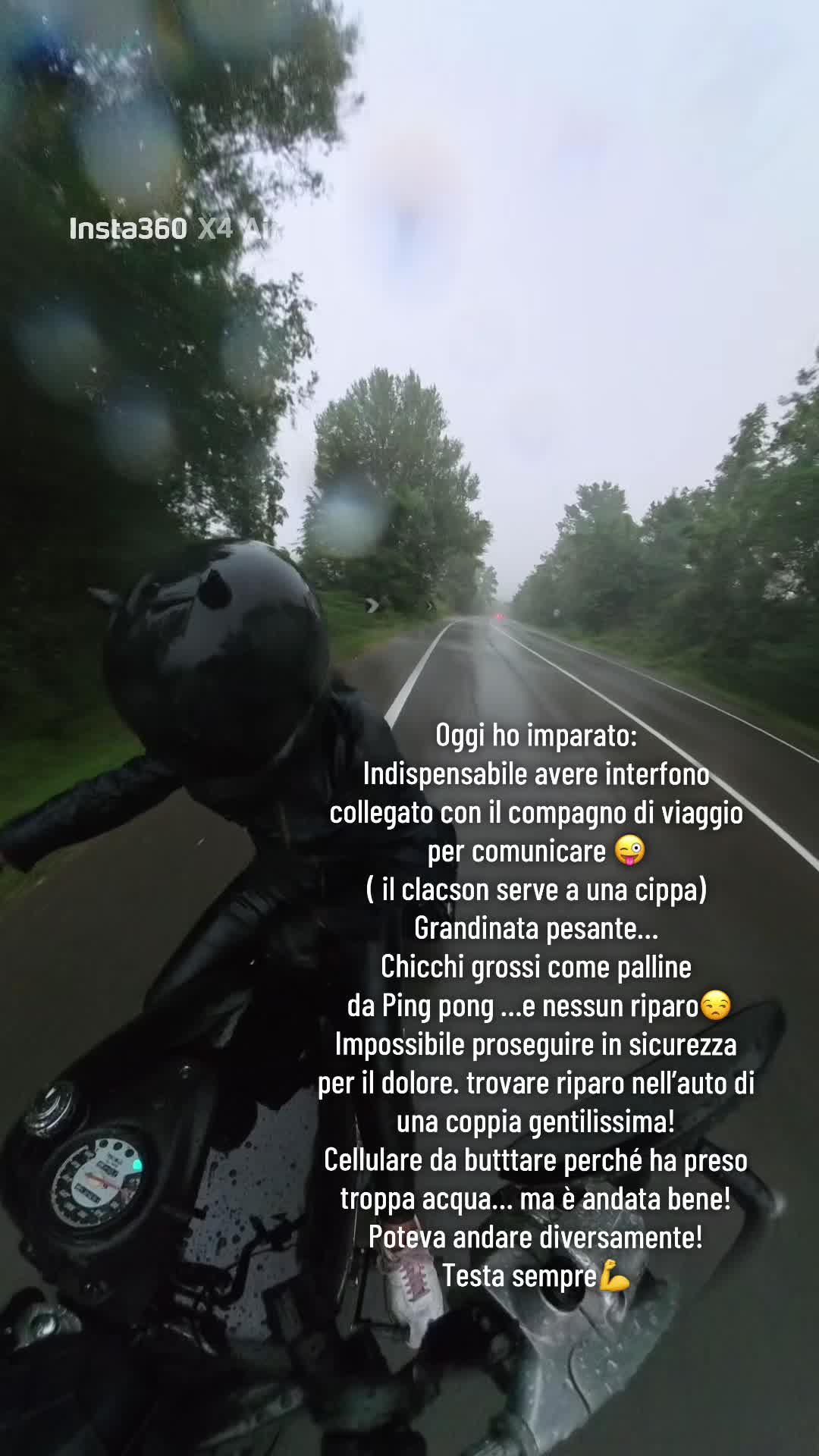 @laviniaraotorres