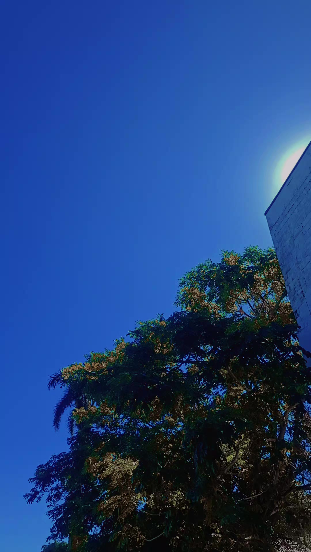 @𝑷𝒓𝒂𝒗𝒊𝒏𝒆𝒔𝒉💚𝐬𝐡𝐨𝐧𝐚