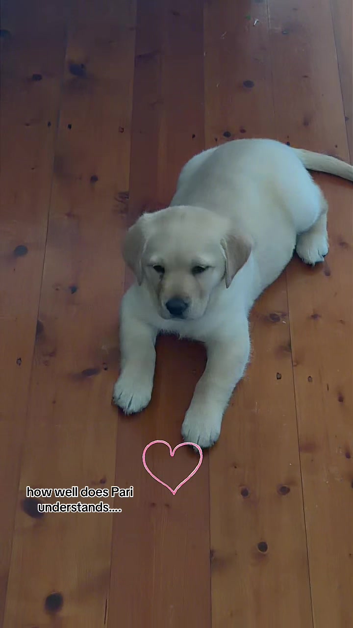 @fjnkuri 🧑&zwj;🧑&zwj;🧒&zwj;🧒🐾💝