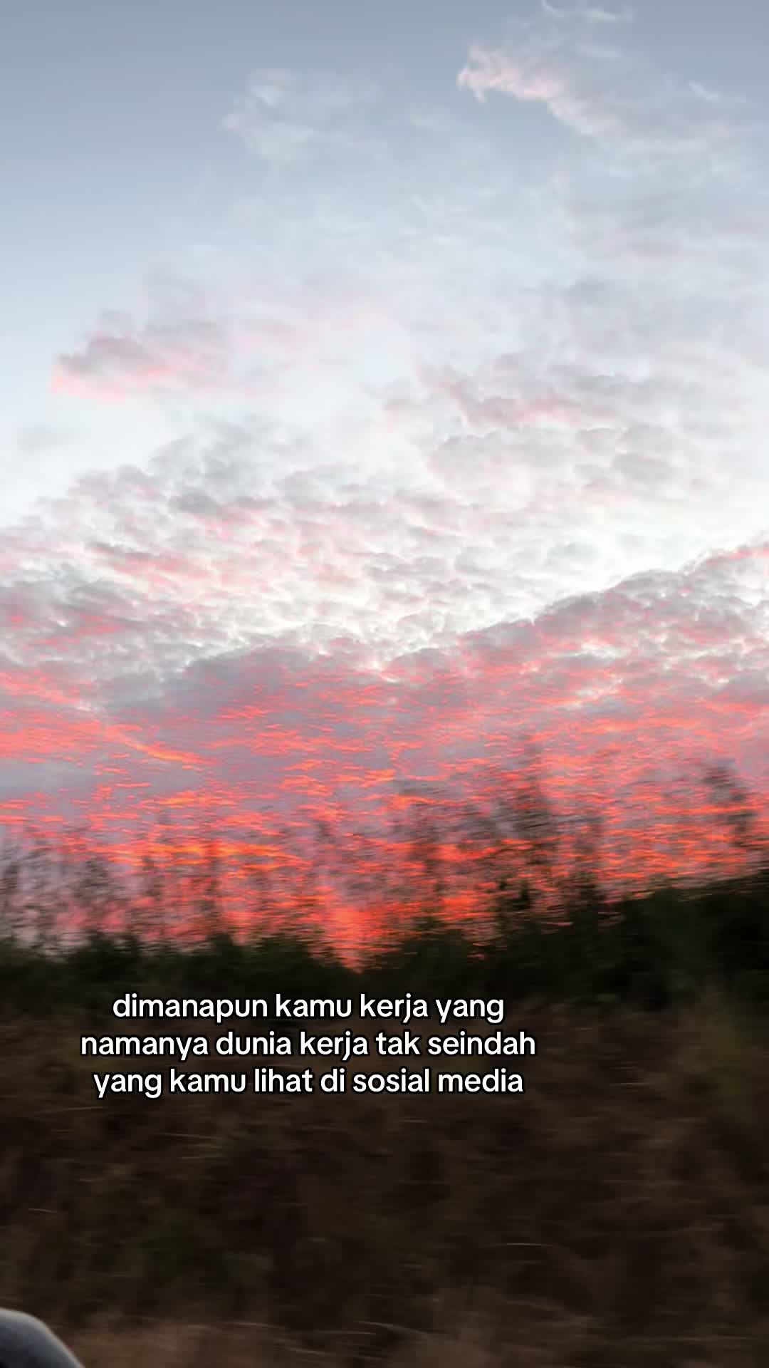 @storyplaceee 🥀
