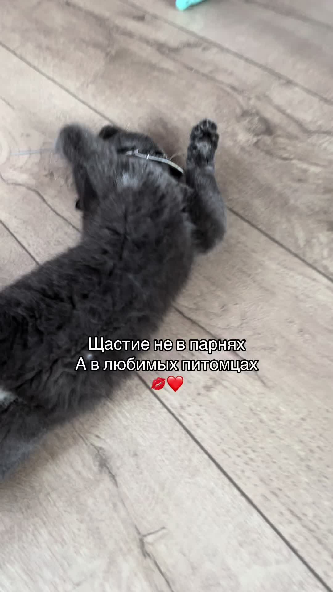 @M.K🐾
