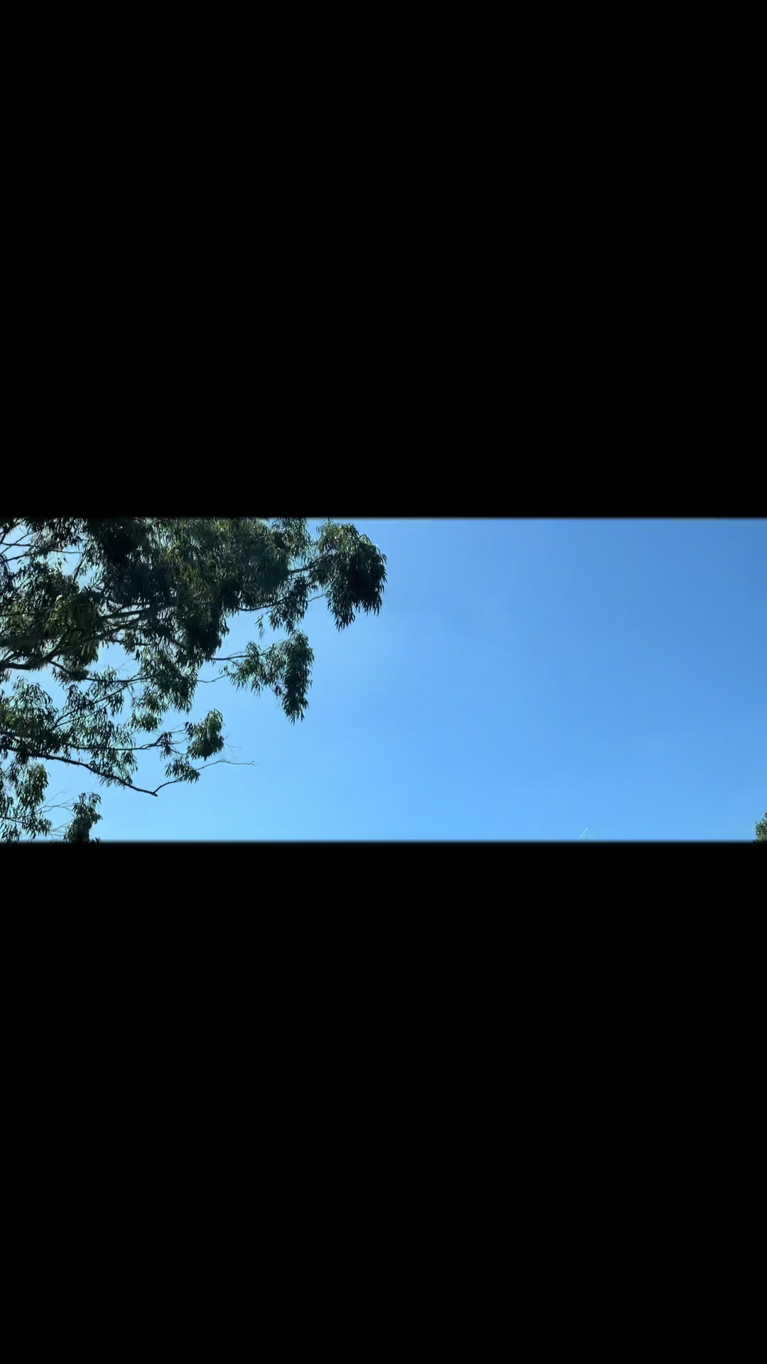 @Nature🏝️