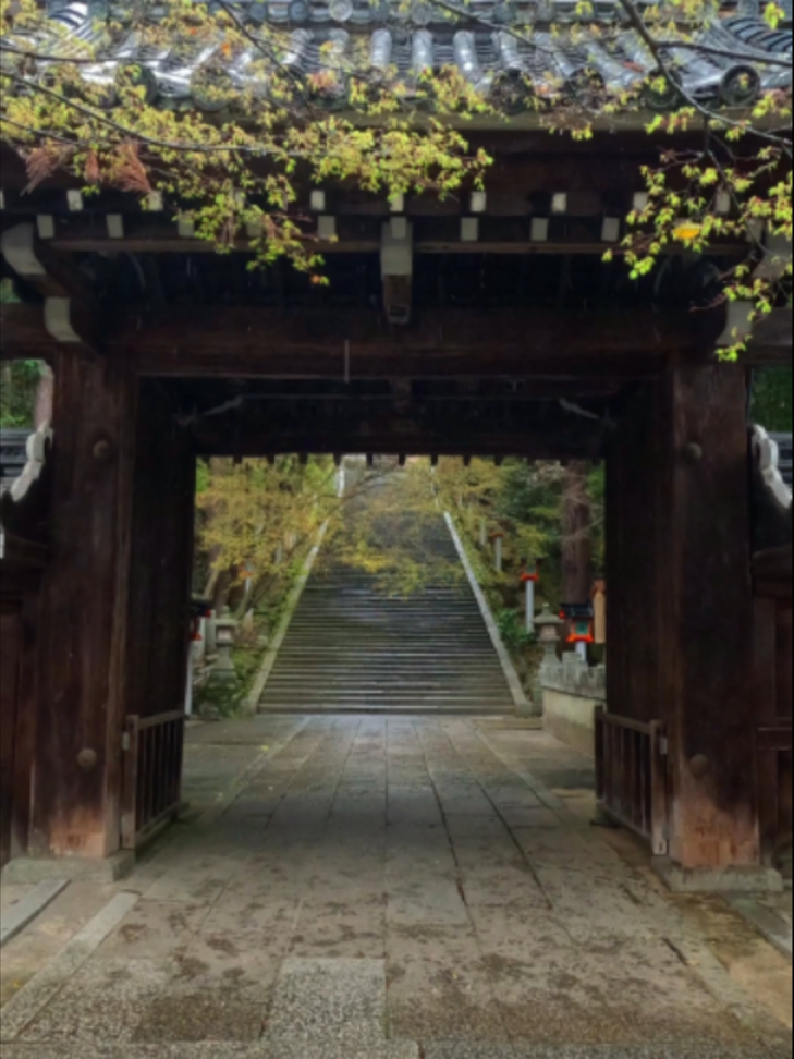 @美しい日本 感動の旅