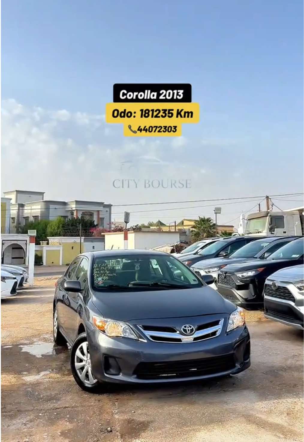 @City Bourse 🇲🇷 بورصة المدينة
