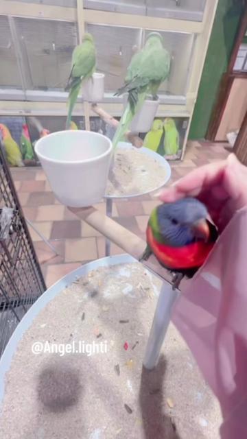 @๐๐ฐ๐ฏ๐บ๐ูููู