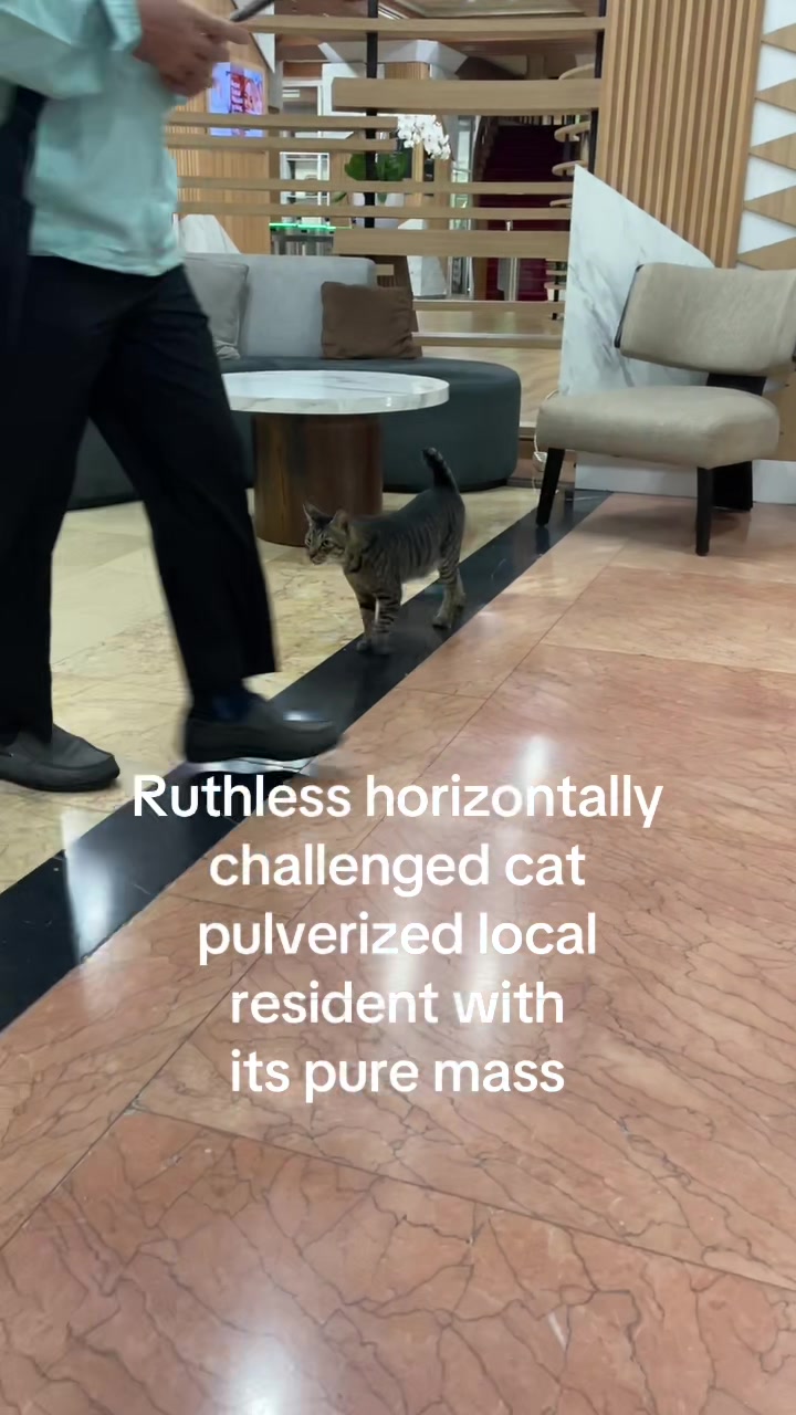 @halo ini eza
