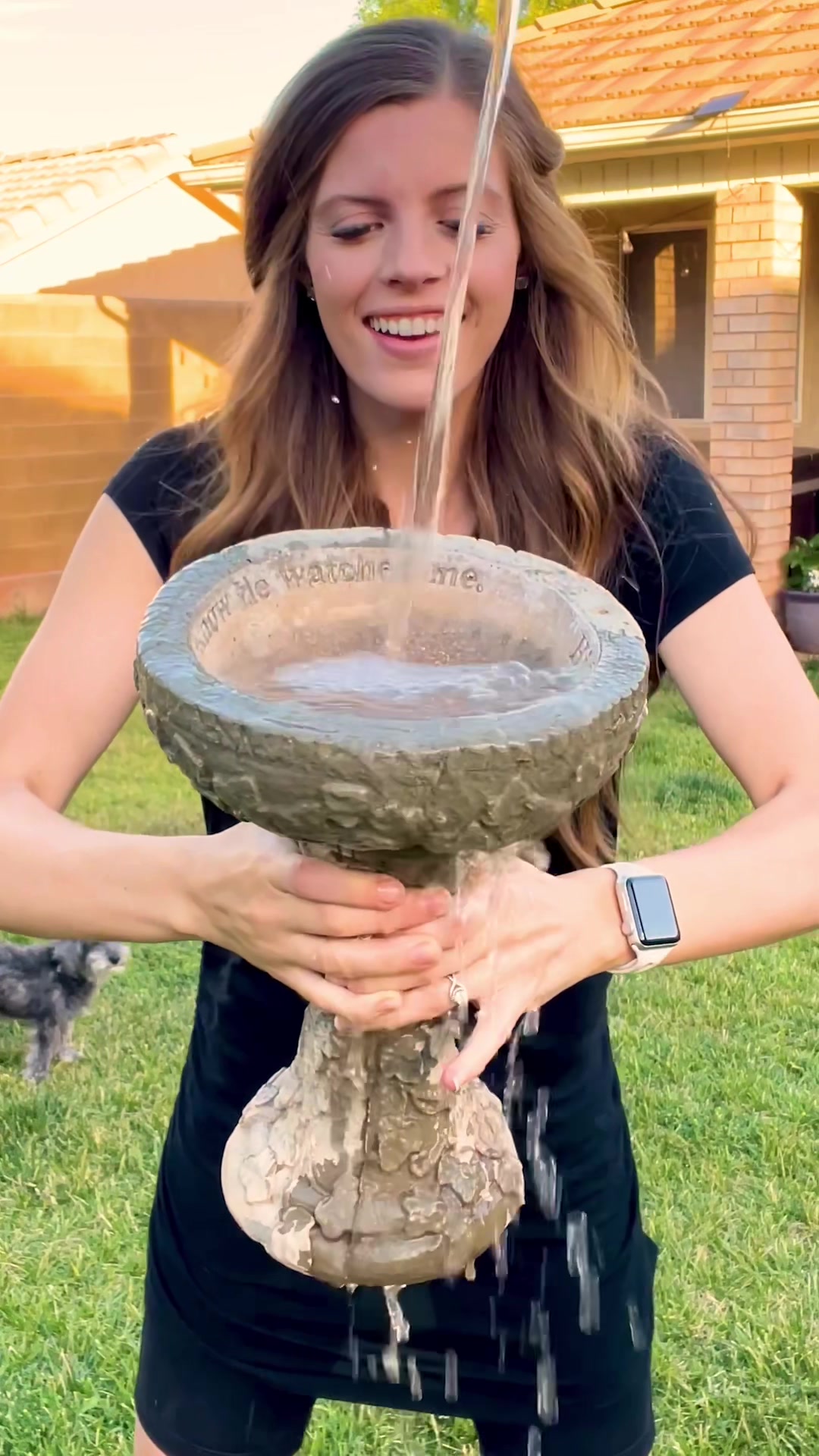 @nikkiplantsthings