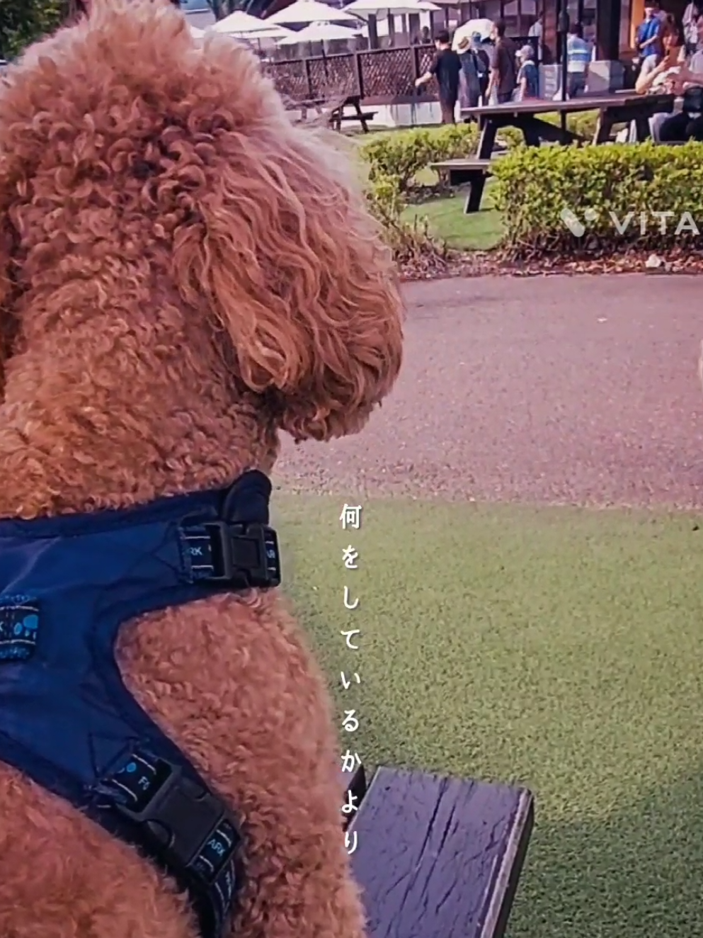 @さと✫