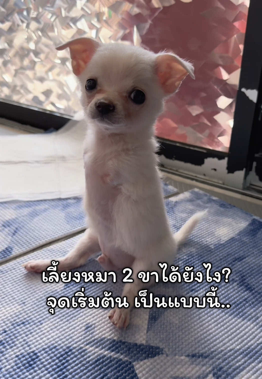 @ผมชื่อเฟิร์บ