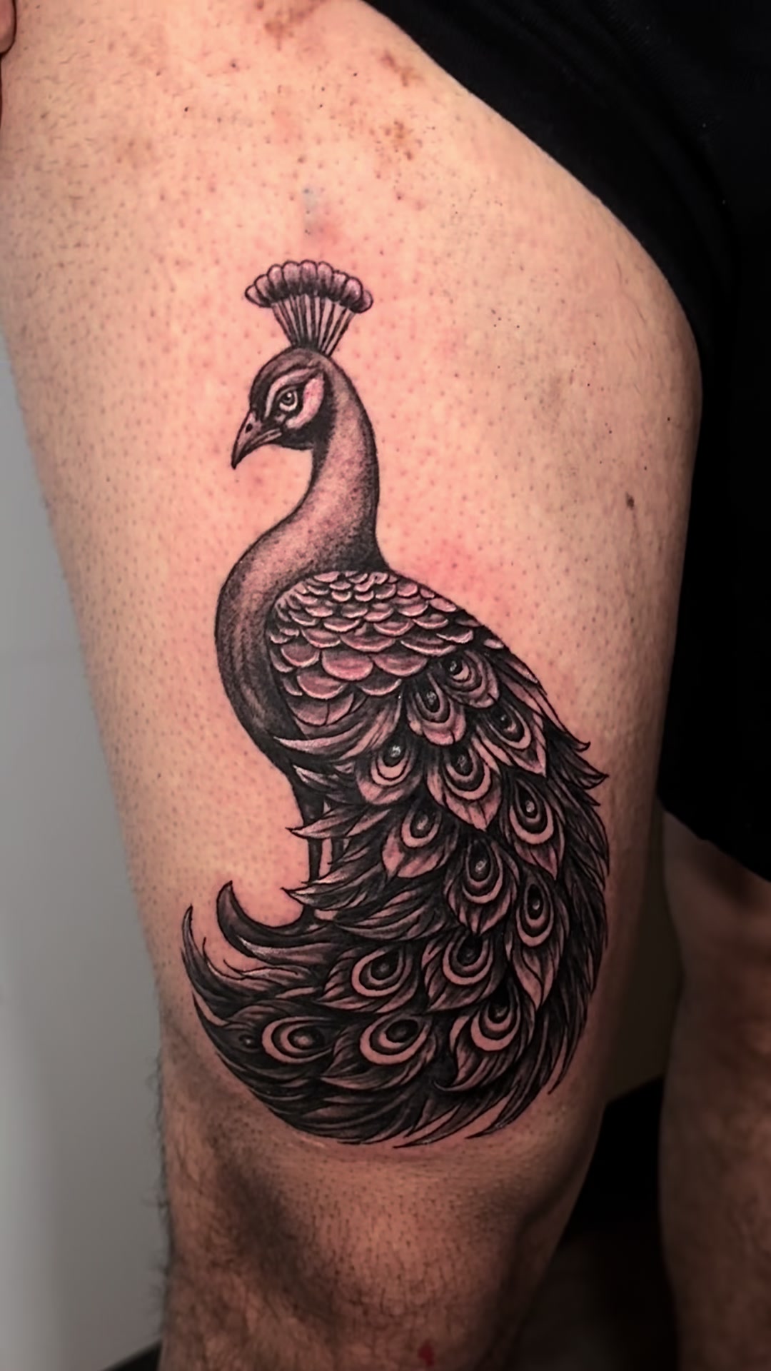 @Sicantattoos