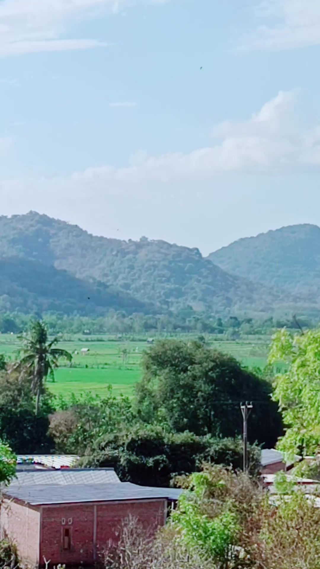 @mxkaku🤙🇻🇳