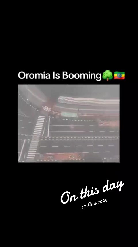 @Shimallis Abdisa Parody