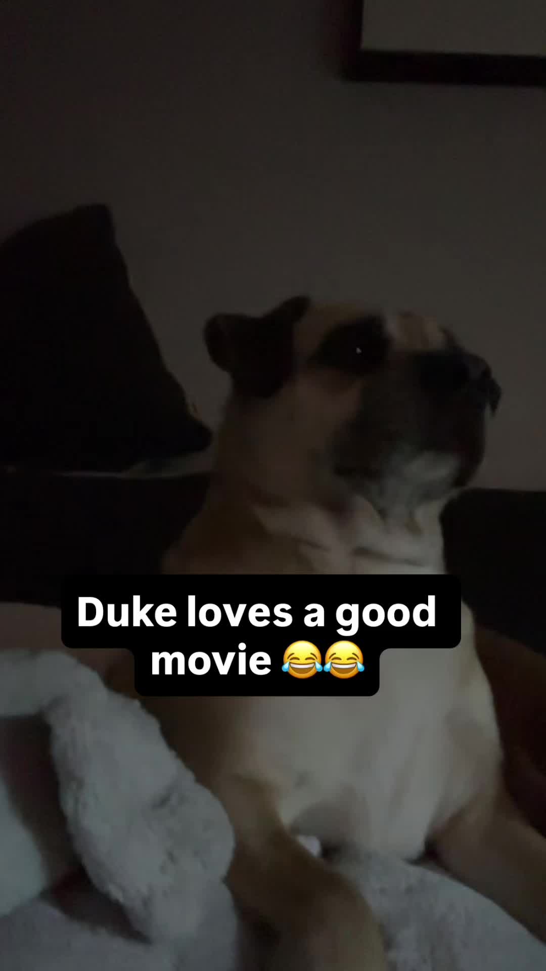 @everybodyLovesDell