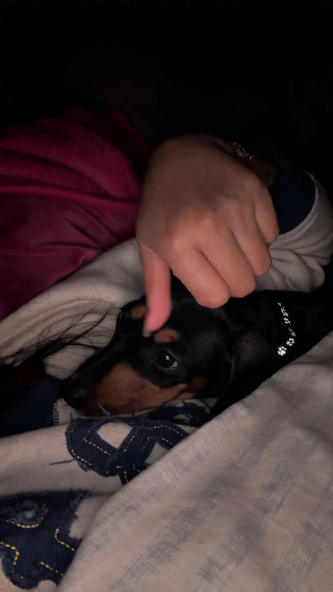 @Nonativespeaker/Babe's mom🐾