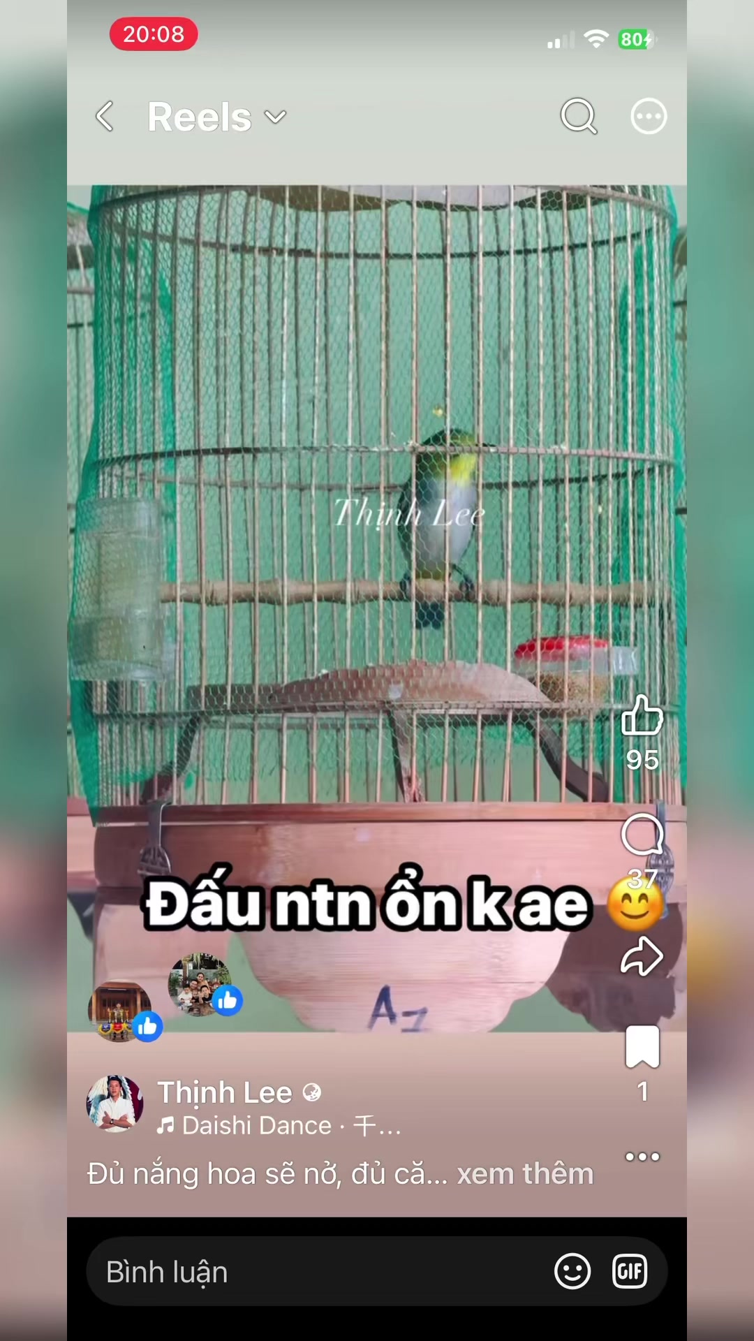 @Falconcity