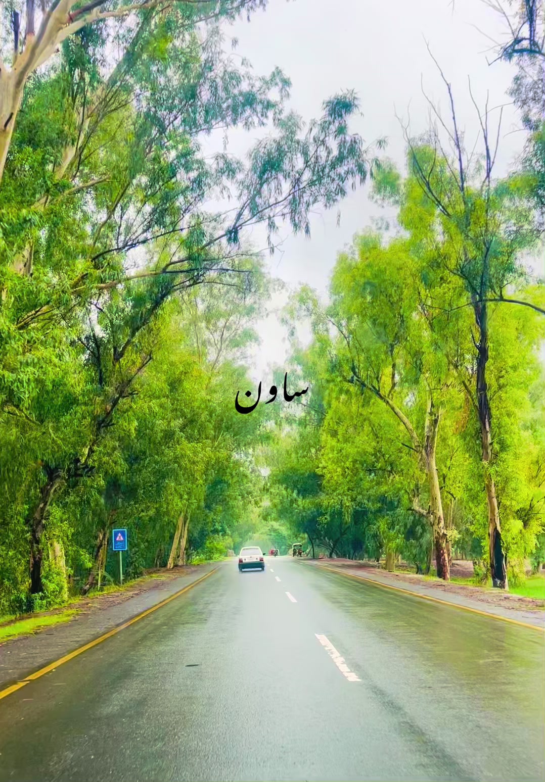 @QasimMushtaq222