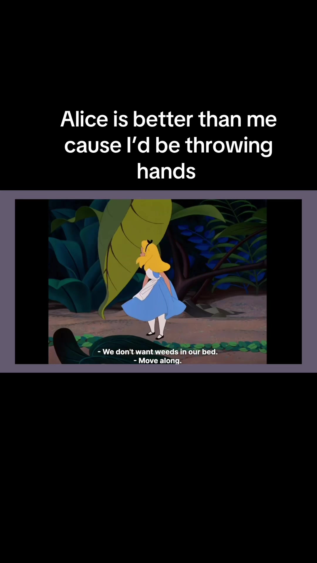 @Johnny Diaz