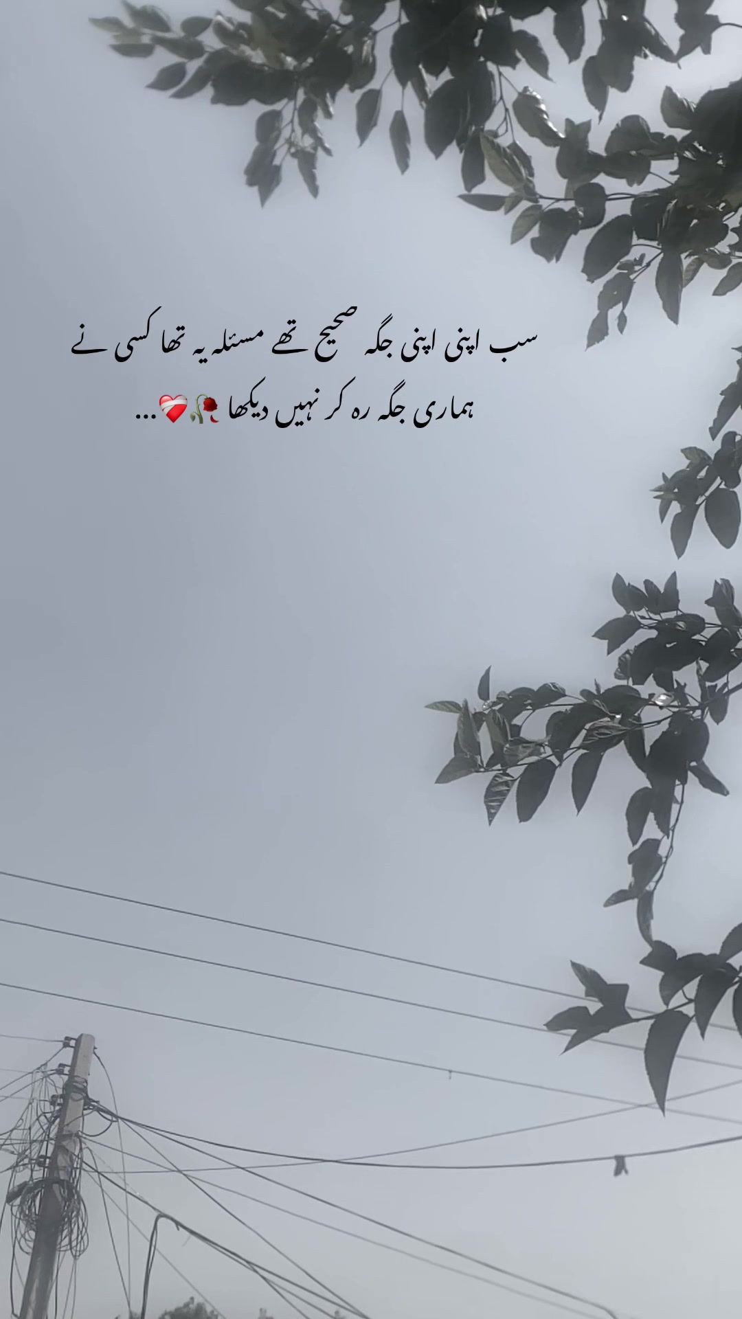 @ℍ𝕒𝕤𝕟𝕒𝕚𝕟_𝕨𝕣𝕚𝕥𝕖𝕤❤🩹