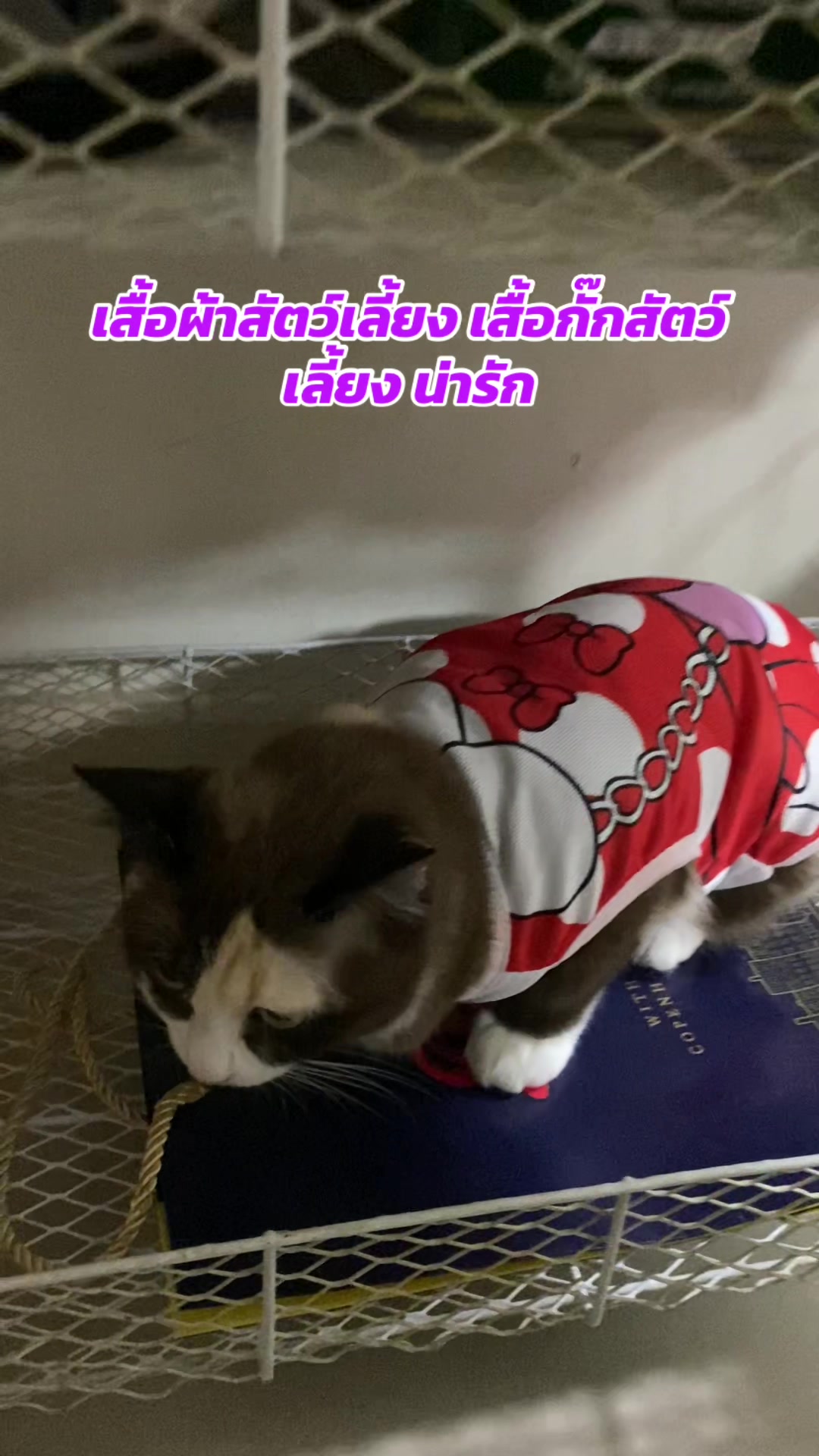 @luxsiriwan21