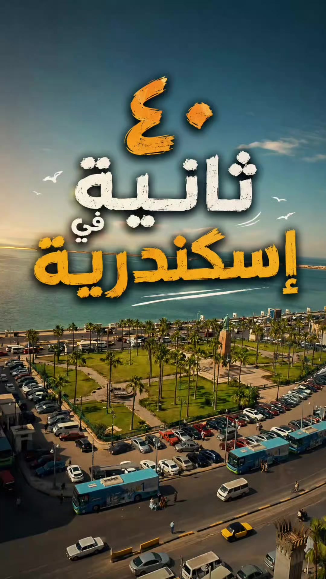 @Mohamed Shafik