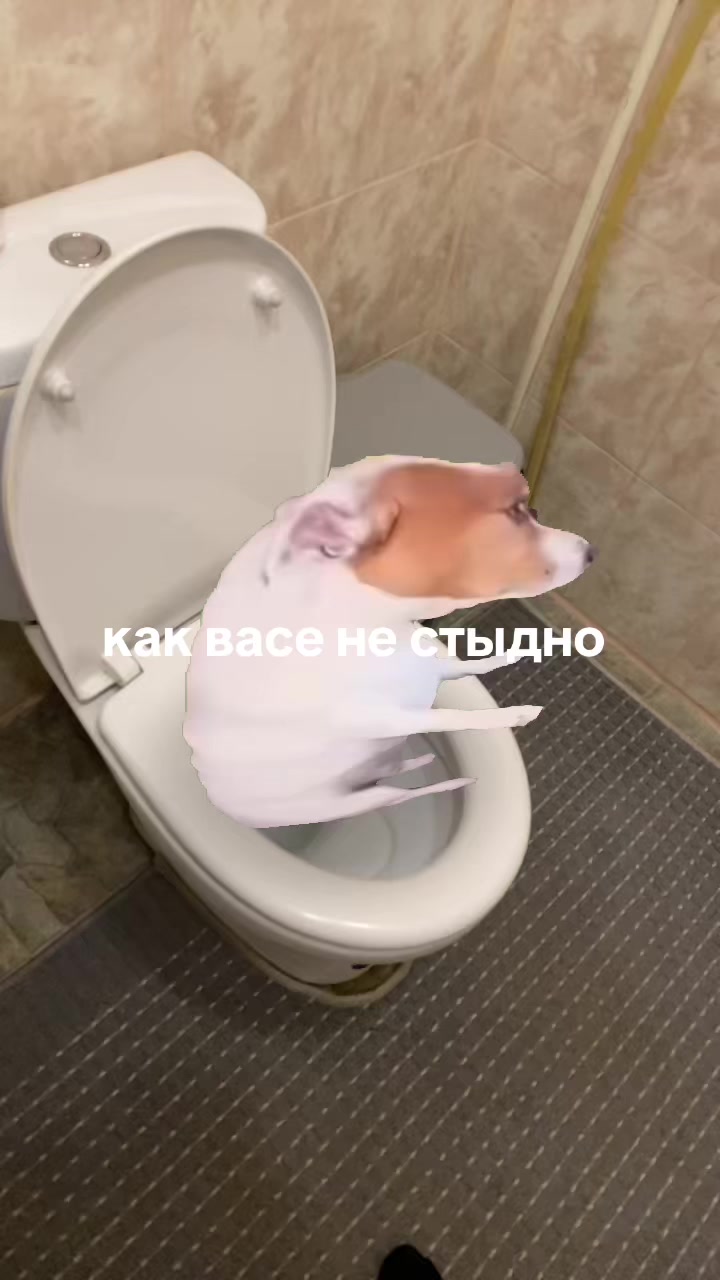 @mmzvod10