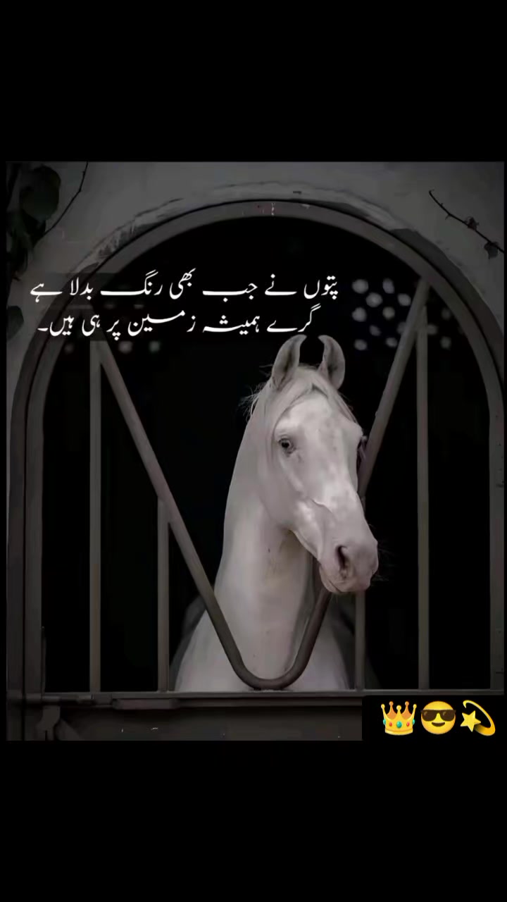 @Sufyan 💕😘🥰