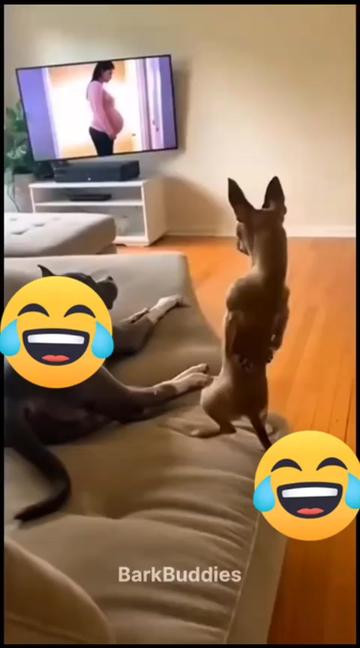 @rahmanalifunny video1122